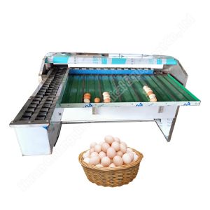 Buy cheap Chicken Farm Classifier Chicken Farm Grading Machine Chicken Egg Sorting Machine Egg Weight Sorting Machine from wholesalers