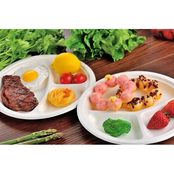 Quality Disposable Tableware Biodegradable Sugarcane Bagasse Plates Refrigerator Wedding for sale