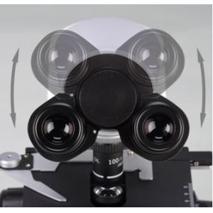 Buy cheap 50X 1000X Binocular Metallurgical Microscope Humanized Butterfly Medical Lab Microscope from wholesalers