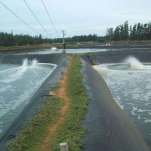 Landfill Site Fish Pond Reservoir Wastewater Treatment Double Smooth Surface