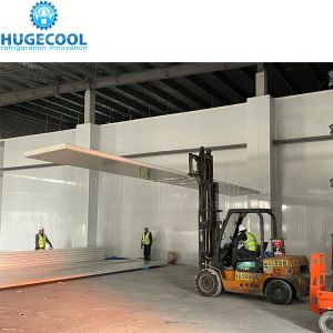 Pomegranate Cooler Storage with 3000CBM Cold Storage Cameras at Logistics