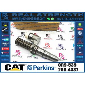 Excavator Parts 3116 Engine Injector 0R-8483 0R-3002 0R-8477 0R-3190 0R-8473 4P