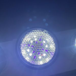 Buy cheap Full Spectrum Reptile UVA UVB Light For Chameleon 110V-220V from wholesalers