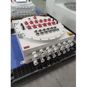 110VAC Ex Proof Flameproof Control Panels Distribution Boards Wall Mounting