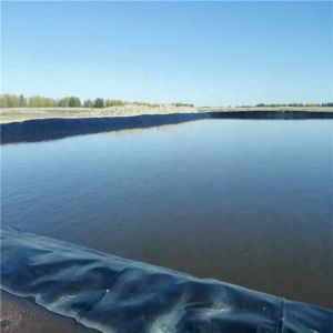 Density 0.940g/cm3 1mm HDPE Geomembrane Liner for Artificial Lake Tank Dam