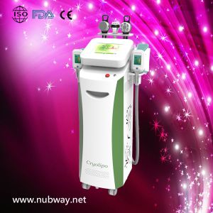 Buy cheap RF & cryolipolysys / cryolipolysis vacuum slimming beauty machine with Bottom Price from wholesalers