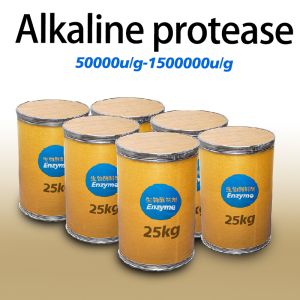 Buy cheap Customized Bacterial Protease Enzyme Alkaline Protease 2.4L  Food Grade from wholesalers