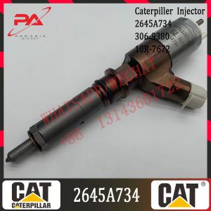 Common Rail Injector 3069380 C6.6 Engine Parts Fuel Injector 2645A734 306-9380