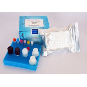 Buy cheap Dexamethasone ELISA Test Kit Drug Residue Test Kit For Laboratory Research Use from wholesalers