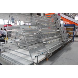 Buy cheap Eggs Layer Chicken Cage Cold And Hot Galvanized Feeding System from wholesalers