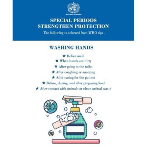 Custom Disposable Hand Sanitizer Sterilization Disinfection Alcohol Gel 500ml