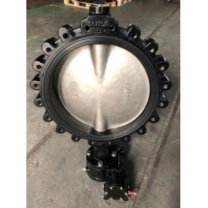 Customized Service and ODM Lug Type Butterfly Valve with Hand Lever