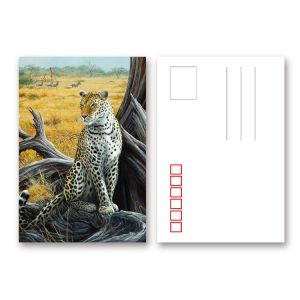 Buy cheap Durable 3D Lenticular Card Plastic Card For Traveller Gift from wholesalers