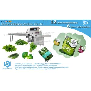 Greens cabbage leafy pouch packaging horizontal servo packing machine