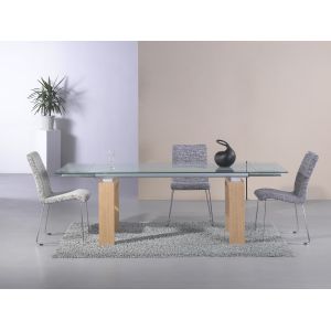 Modern Style Extendable Glass Table 200cm Length Rectangular Extendable Dining