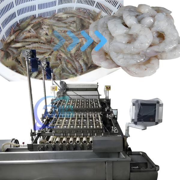 Quality SUS304 PLC Shrimp Peeling Machine Multipurpose 3600x2260x2200mm for sale