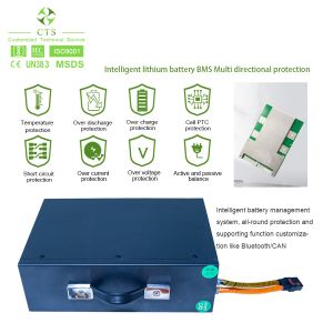 48v 800w electric scooter mini citycoco lithium battery,electric scooters 60v