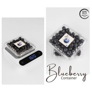 Buy cheap 125g RPET Blueberry Clamshell Containers Transparent Fruit Packaging Boxes Durable from wholesalers