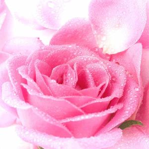 Buy cheap Window curtain printed roller blinds and fabric/Motorized roller blinds for window / 3D printed roller shade from wholesalers