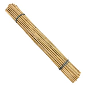 Buy cheap Garden Bamboo Stake Support for Plants & Climbers from wholesalers