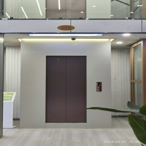 China Panoramic Pitless Home Elevator | Lightweight Aluminium Frame on sale