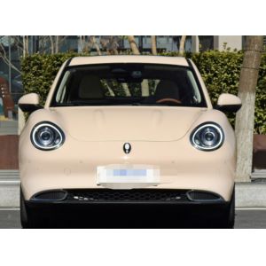 Buy cheap ORA Haomao 2023 501km standard range Haohua ternary lithium  Small car Five-door five-seater hatchback from wholesalers