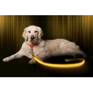 Buy cheap Safe Highly Visable LED Dog Leash Nylon Material from wholesalers
