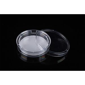 Cell Insert Multiple Well Plate 24mm PCR Laboratory