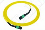 Quality MTP-12 APC Female to MTP-12 APC Female Singlemode OS2 Plenum OFNP Type A MPO patch cord for sale