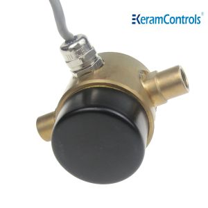 BSP 2 Wire Liquid Differential Pressure Switch 24V