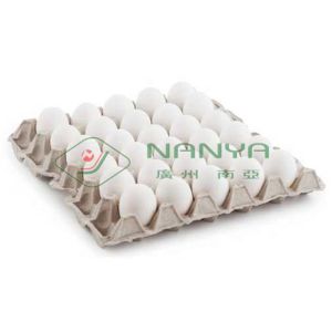 Semi Automated Paper Egg Tray Egg Box Making Machinery
