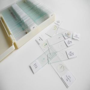 Human Histology Tissue Teaching 100piece Prepared Microscope Slides Sets In
