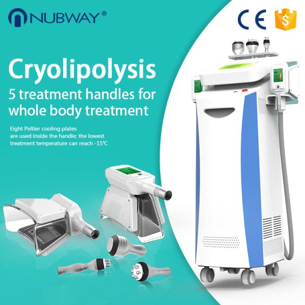 cryolipolyisis slimming/ cryolipolysis fat freezing weight loss/ Cool sculpting