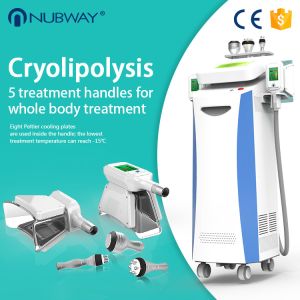 Buy cheap cryolipolyisis slimming/ cryolipolysis fat freezing weight loss/ Cool sculpting machine from wholesalers