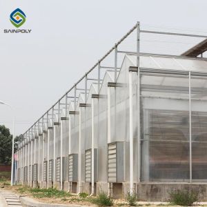 Buy cheap Hot Dipped Galvanized Steel 7.5m Polycarbonate Greenhouse from wholesalers