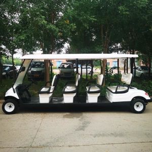 White Lithium 48 Volt Electric Golf Cart 8 Seater Custom