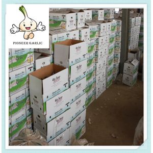 Buy cheap Best Quality and Cheap Price Normal Fresh White Garlic 2016 Super White Garlic Price from wholesalers