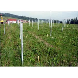 Fast Installation Helical Screw Piles Silver For Solar Energy Plant High