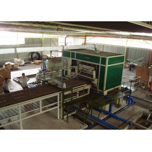 Full Auto Rotary Egg Tray Machine 3000pcs per hour / Energy Recycling Egg Carton