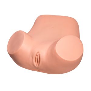 Buy cheap Replacement Uterus Gynecologic Simulator Vaginal Pelvic Exam Simulator from wholesalers