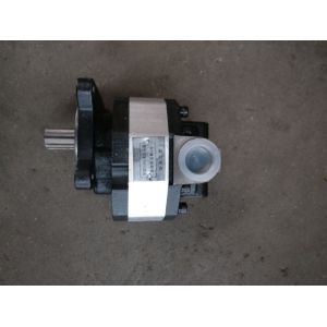 China Rust Resistant SS Hydraulic Gear Pump Mini Loader Parts on sale