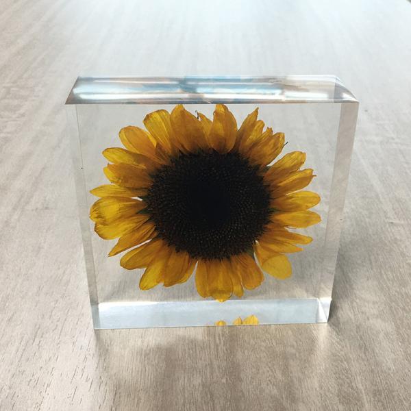 Buy cheap Low MOQ Custom Shapes Sizes paper weight Crafts For Decoration custom resin weightpaper scale flower inside acrylic paper weight from wholesalers