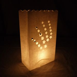 Buy cheap Shooting Star Paper Luminaries Bag (10 Pack) from wholesalers