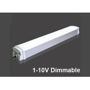 Buy cheap 6500K 100v IP65 LED Tri Proof Lights 100LM T8 4ft Led Bulbs Adjuatable Brightness from wholesalers