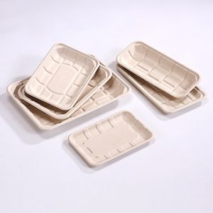 200ml Bagasse Meat Fruit Paper Compostable Meat Trays Sustainable Disposable