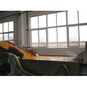 Full Automatic Fruit Processing Equipment Surfing Bubble Washing Machine