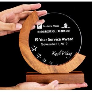 Buy cheap Individualized Custom Resin Trophies Crystal And Solid Wood Combination Trophy product