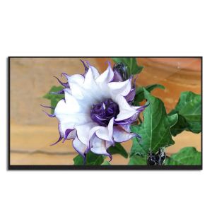 Buy cheap eDP 30 Pins 13.3 LCD Screen TFT Display Module 1920*1080 from wholesalers