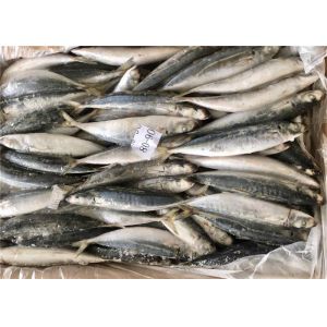 Buy cheap Decaptromateus Macrosoma 80g 90g Bulk Frozen Sea Baits from wholesalers