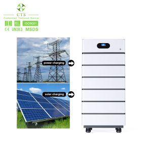 LS51100-FP5 Stackble Battery Module And Inverter All In One System For Home